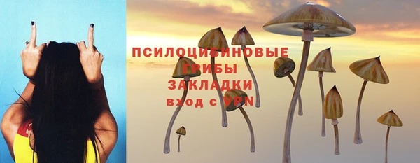 Альфа ПВП Нестеровская