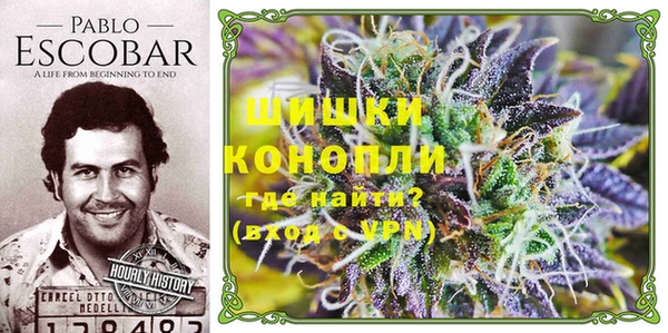 альфа пвп Дмитровск