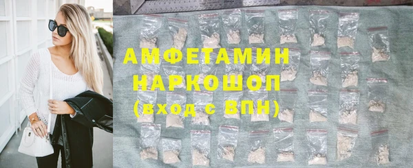 гашик Дмитриев