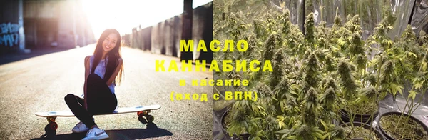 гашик Дмитриев