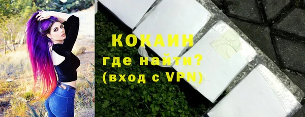 гашик Дмитриев