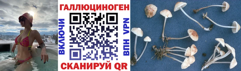 Галлюциногенные грибы Magic Shrooms  хочу   Пестово 